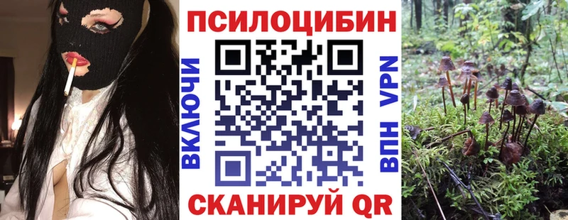 где найти наркотики  Устюжна  Псилоцибиновые грибы мицелий 